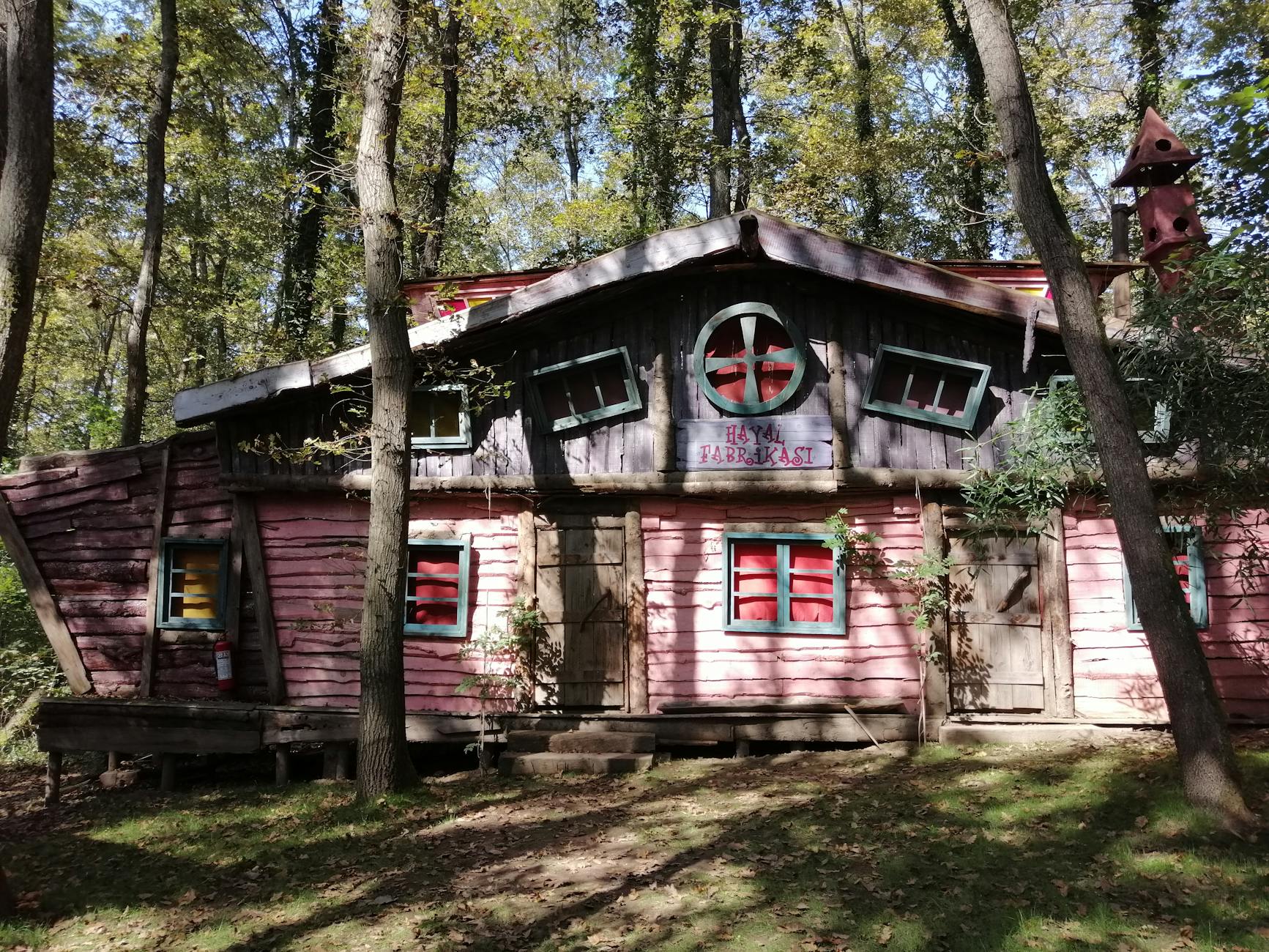 Drewniany dom w lesie oświetlony słońcem