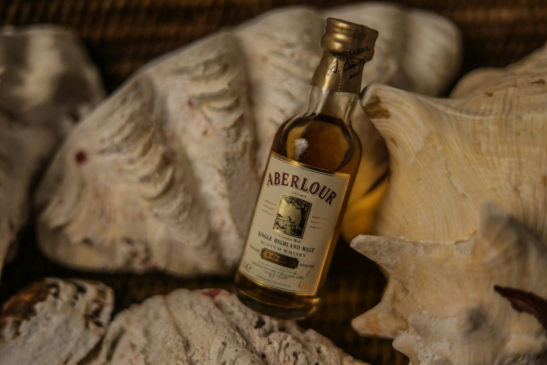 Mała butelka whisky Aberlour ustawiona między dużymi muszlami